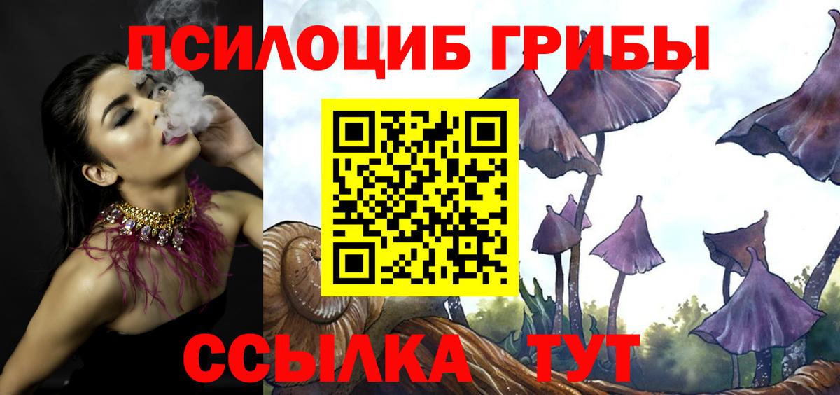 цены   Псилоцибиновые грибы Cubensis  Вход с VPN  Элиста  Галлюциногенные грибы Psilocybe 