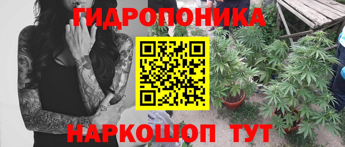 Шишки марихуана White Widow  Шишки марихуана Bruce Banner  Элиста  Бошки Шишки OG Kush  Вход с VPN  Канабис индика 